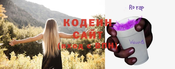 крисы Богородицк