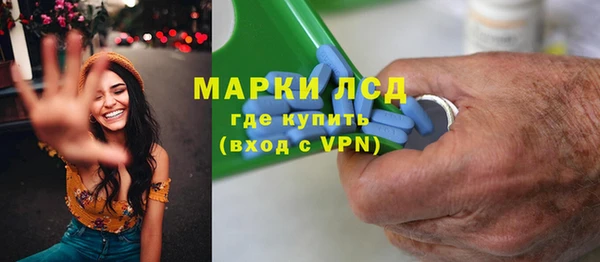 крисы Богородицк
