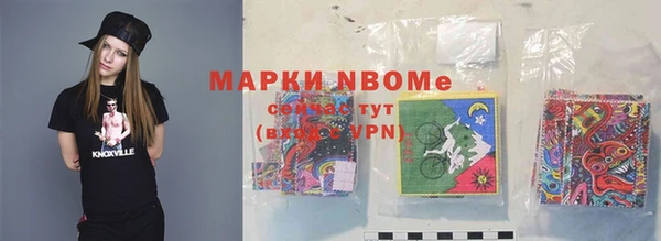 крисы Богородицк