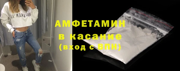 индика Богданович
