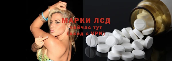крисы Богородицк