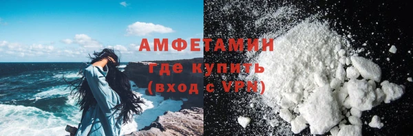 прущие грибы Верея