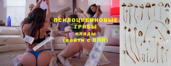 MESCALINE Белокуриха